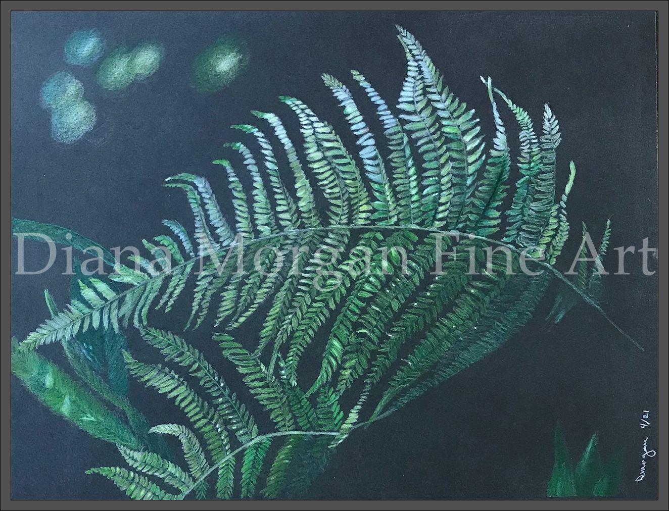 Ferns II